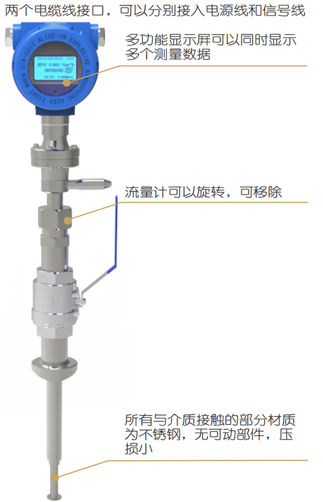 DN50熱式氣體質量流量計結構圖